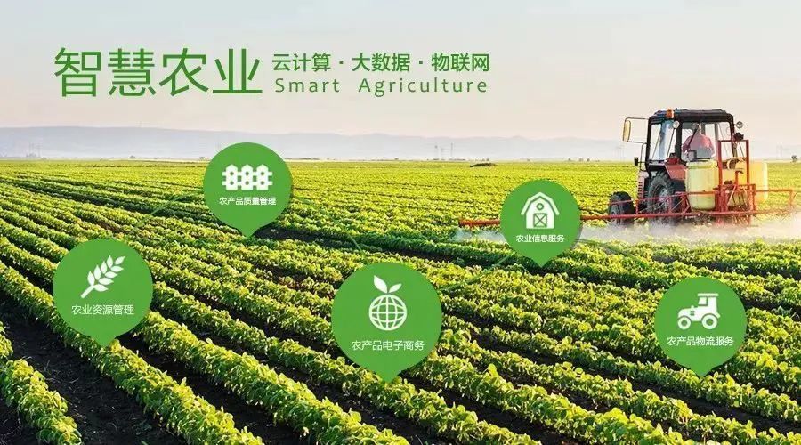 紧抓数据要素价值化 下好数字经济发展先手棋