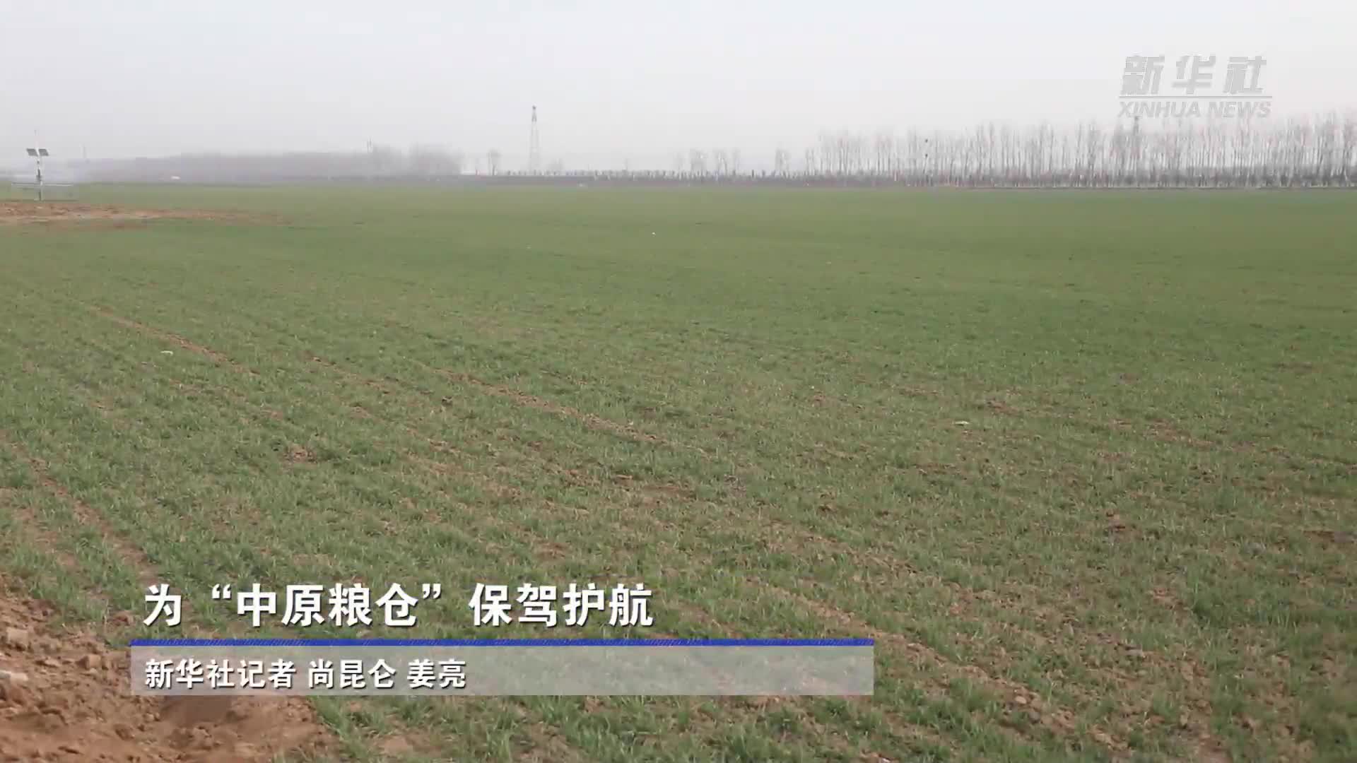 新华全媒+丨“中原粮仓”麦收过半