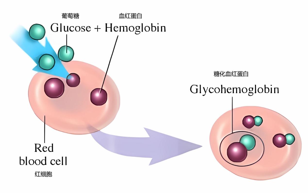 康希诺生物“多糖蛋白结合技术”荣获天津市科学技术进步一等奖