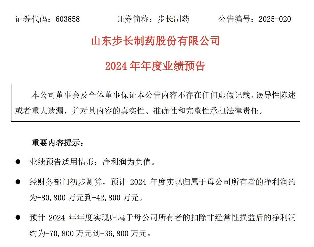 南新制药募投项目频生变故 连亏四年业绩承压‌