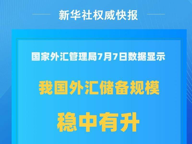 年中经济观察｜2025年中国外贸半年报：稳中有增 优中有升