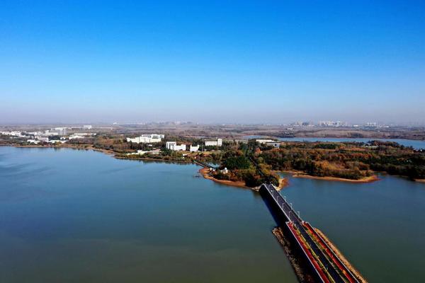 综述丨保护传承创新 共同迈向现代化——多国人士热评《在世界文化激荡中坚守文化主体性》智库报告