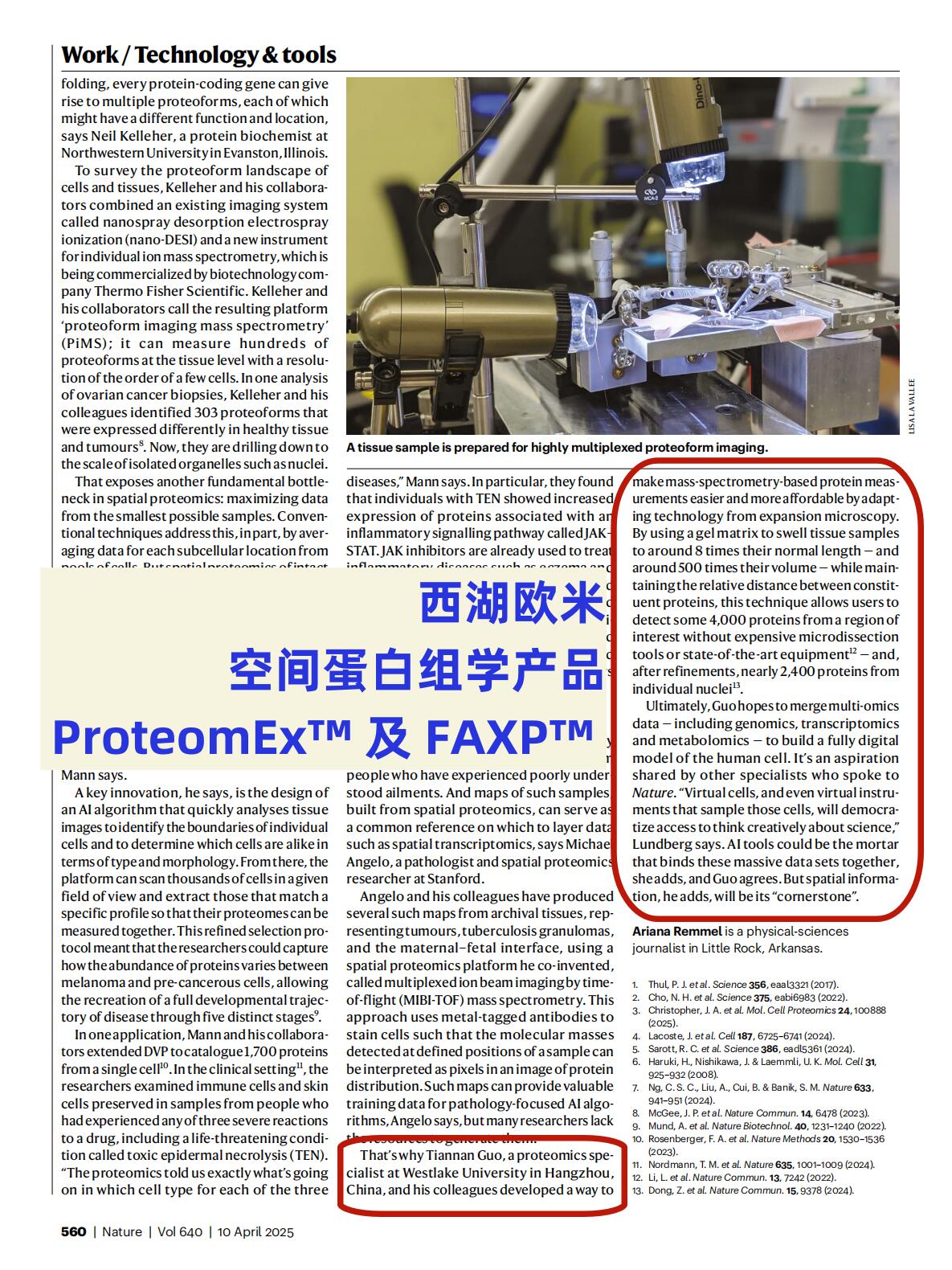 AI虚拟细胞开启生物研究新范式