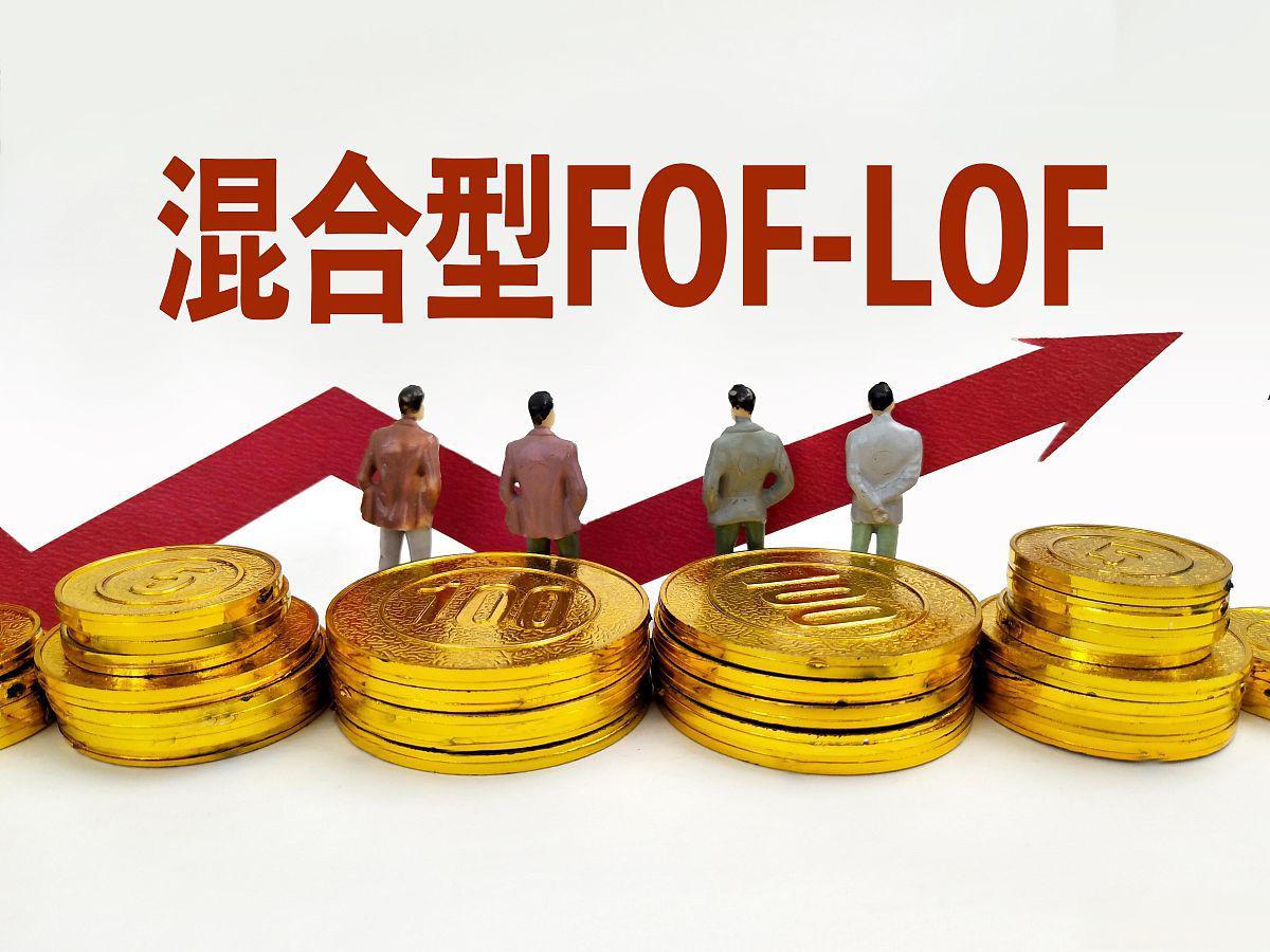 1月7日基金净值：交银添利LOF最新净值1.1078，跌0.04%