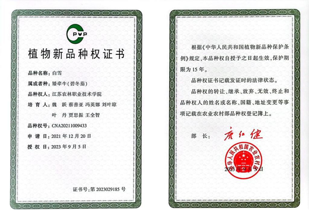 华夏金租增资获批 注册资本将变更为130亿元