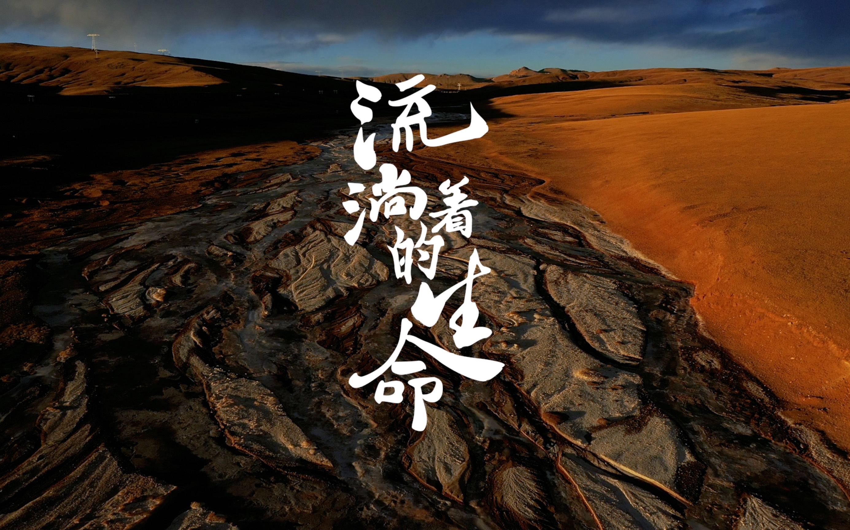 重磅纪录片｜建设共同家园