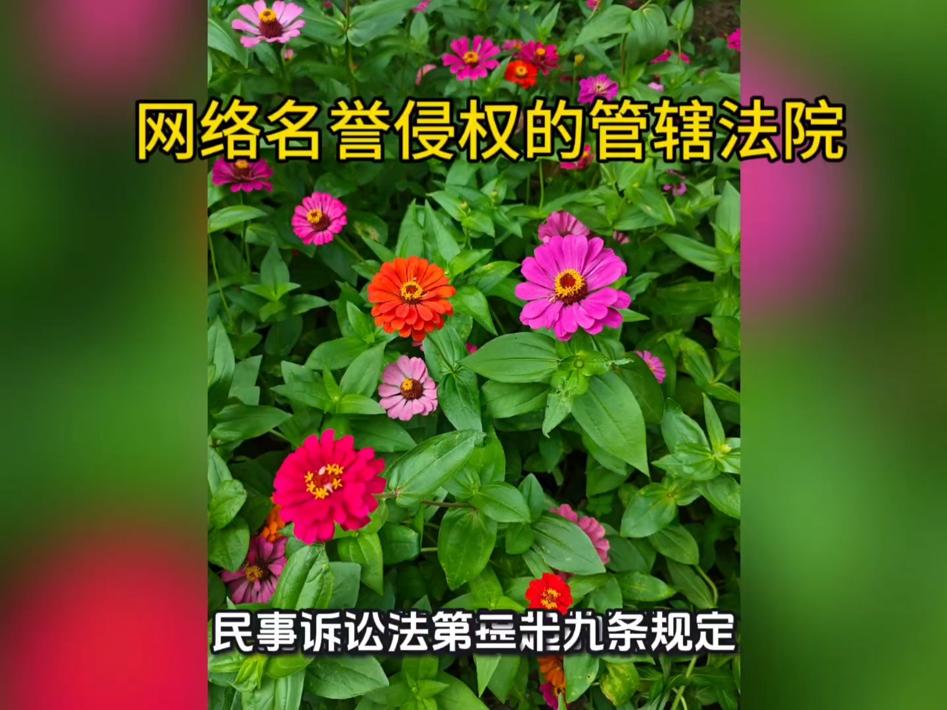 最高法：调整完善互联网法院案件管辖范围