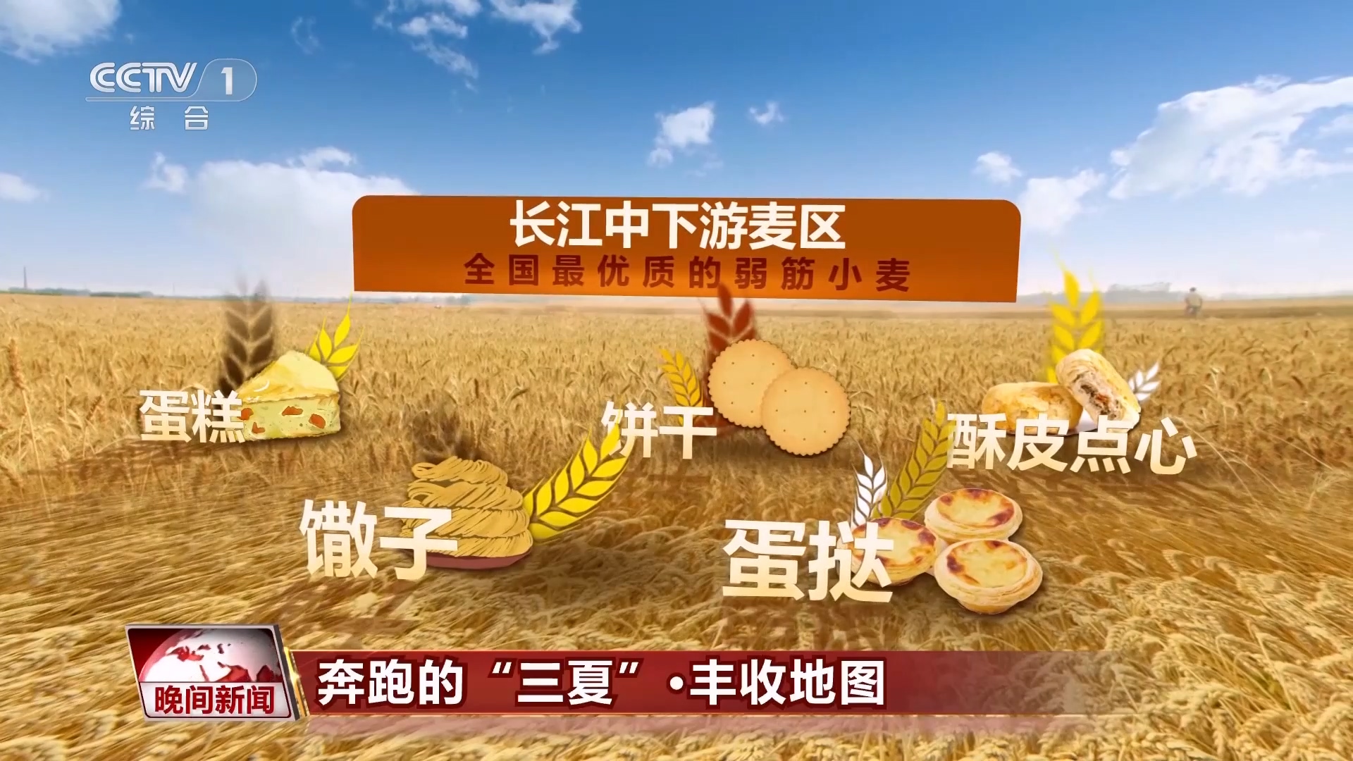 新华视点|秋收进行时——多地丰产图景与乡村振兴中的奋斗力量