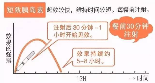 通化东宝：前三季度营收同比增逾50% 胰岛素类似物收入首超人胰岛素