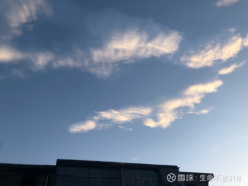 万科A：前三季度营收1613.88亿元