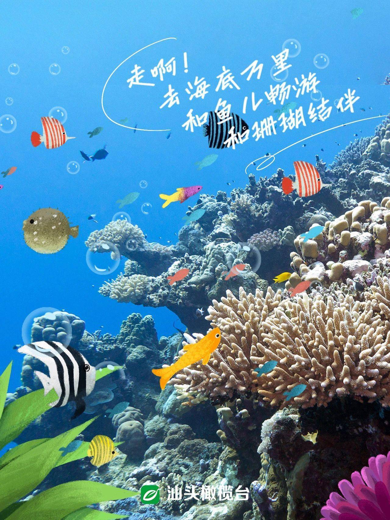 权威访谈｜国民经济发展“蓝色支撑”稳中有进——访自然资源部海洋战略规划与经济司负责人