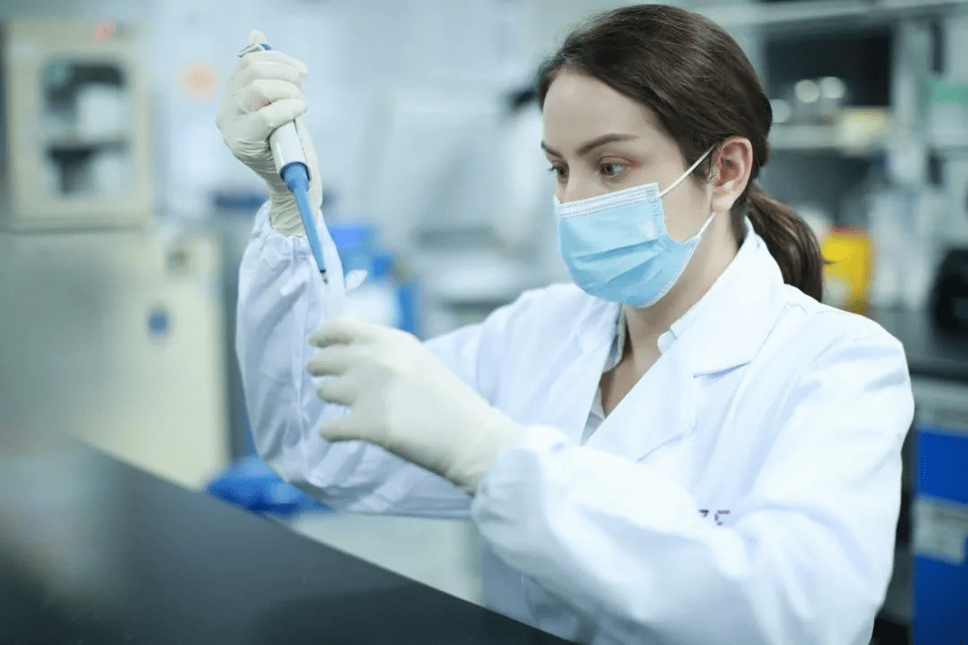 莱特光电：前三季度营收净利双增 助力OLED终端材料国产化进程