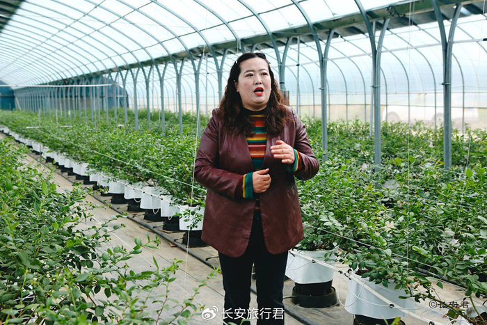 TCL中环：技术革新赋能绿色转型 T5 PRO光伏组件新品发布