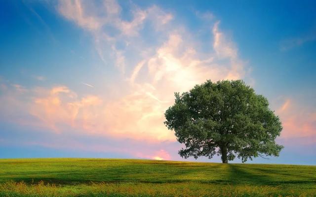 华信信托：截至昨日17时安鼎公司受让本公司个人投资者信托受益权整体签约率达到95.5%