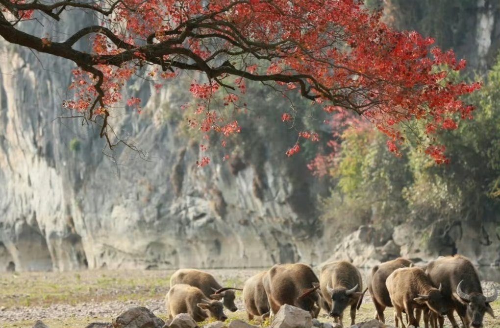 香港交易所:2025年上半年香港市场平均每日成交金额为2402亿港元