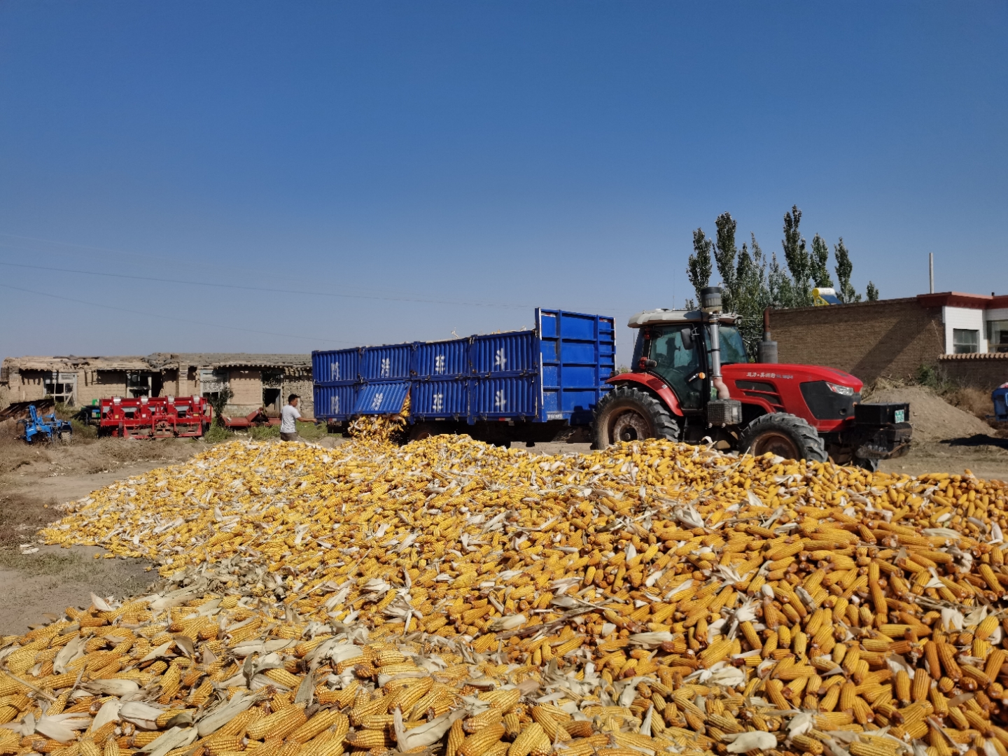 我国国家级种业基地供种保障率达到80%