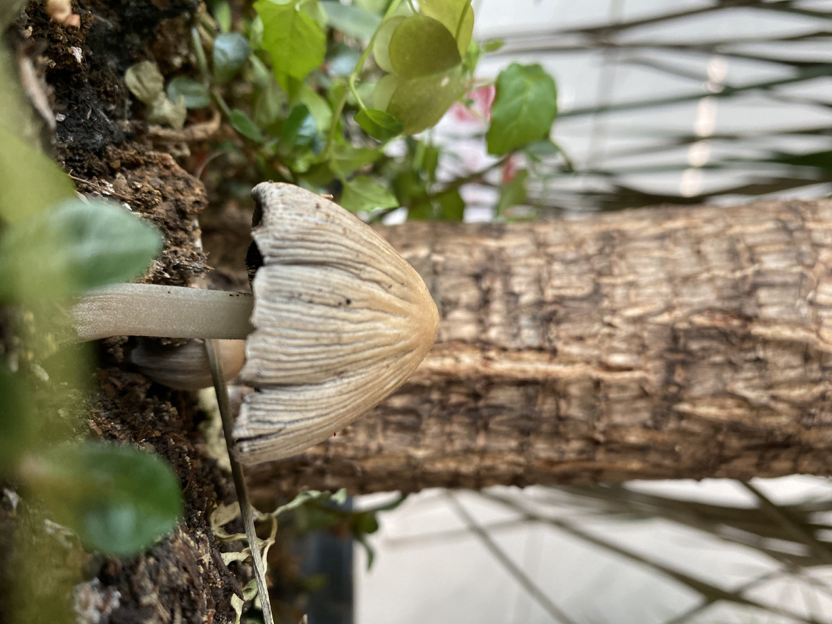 我国研发的微观世界“超级相机”成功验收