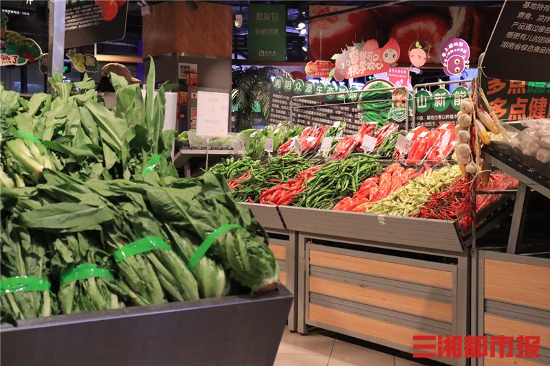 新华鲜报·规划建议新看点丨氢能和核聚变能:“能源新秀”驱动绿色未来