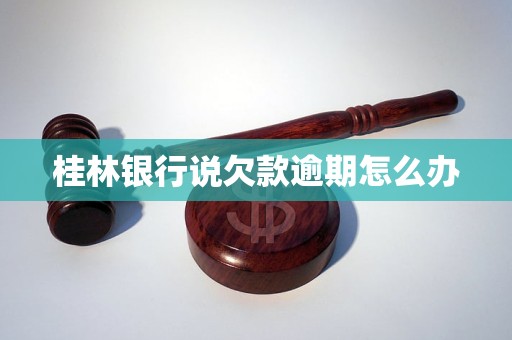 高杠杆扩张深陷高负债困局 双良节能豪赌光伏进退两难