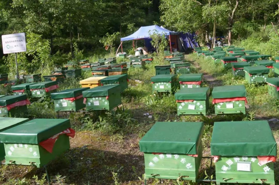 中东家电电子展览会聚焦绿色和智能化