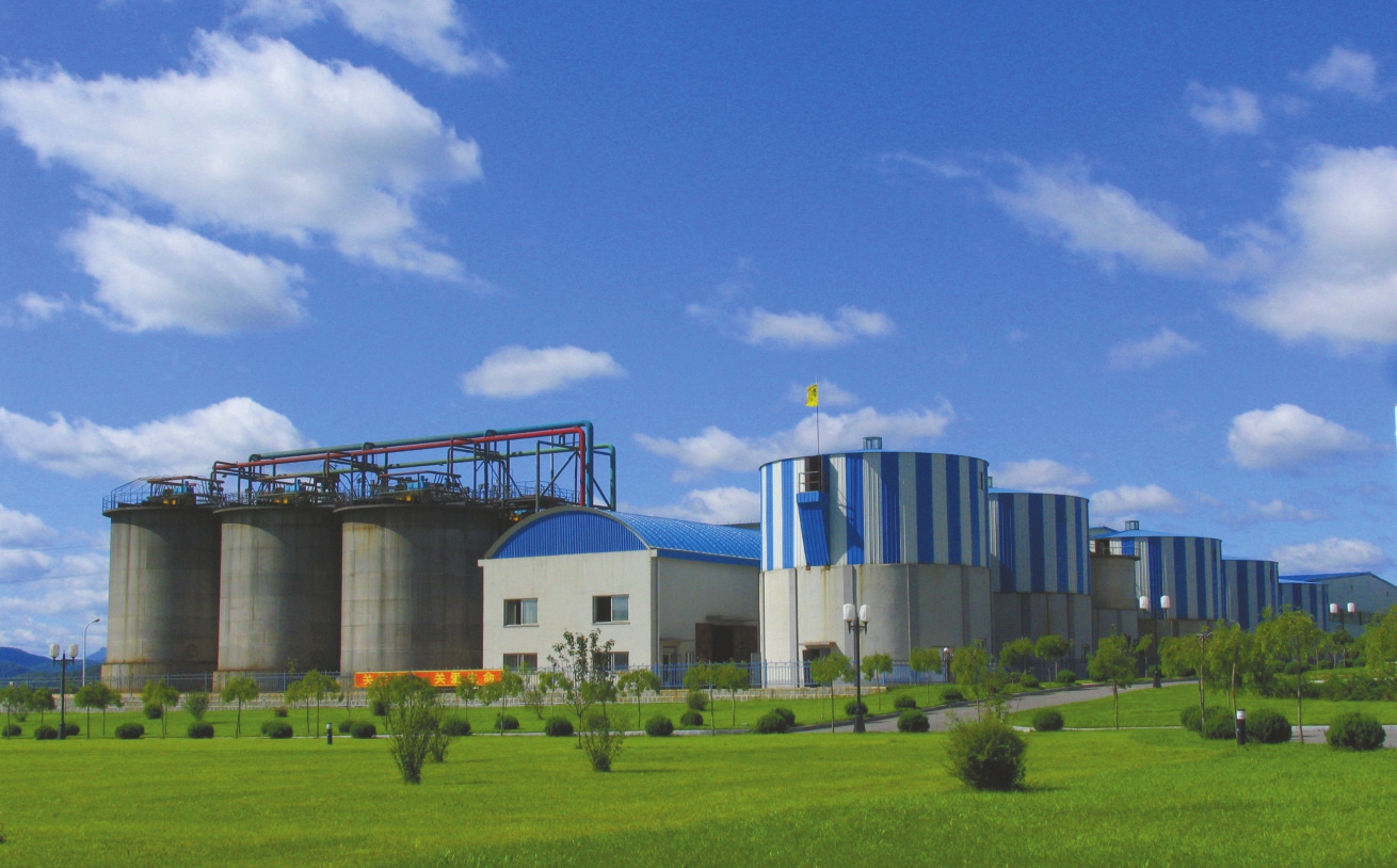 锁定“三化”战略航向 中国黄金以硬核实力描绘发展新蓝图