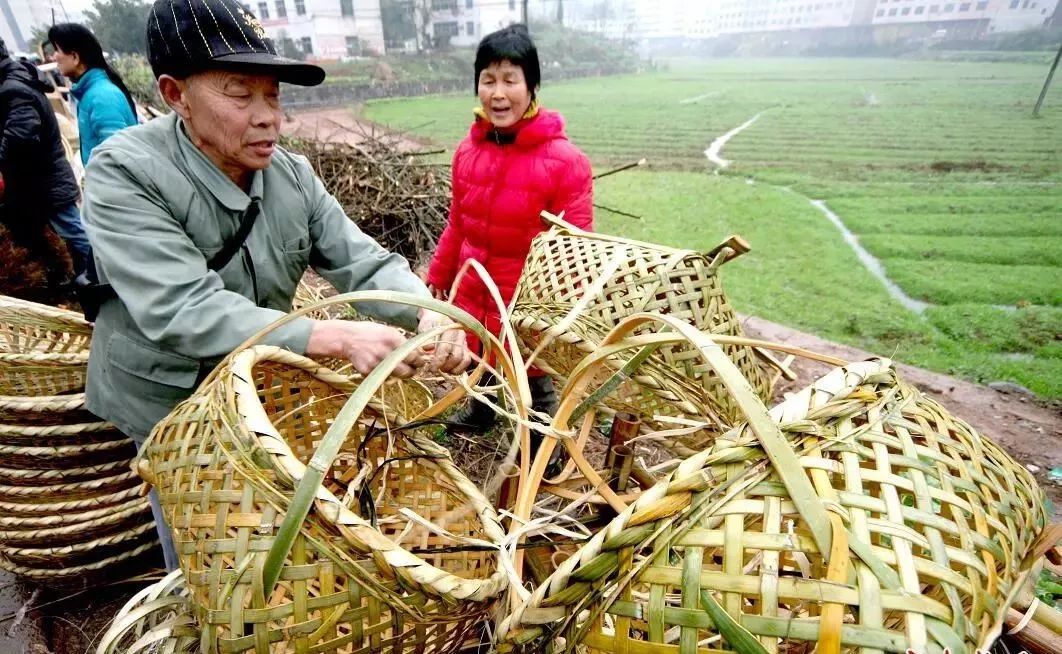 金融监管总局局长李云泽：5年来农信社改革蹄疾步稳 过半省份组建省级法人机构