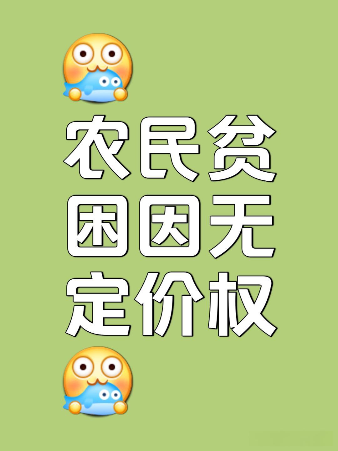 2026年中储粮将持续发力 兜牢农民“种粮卖得出”底线