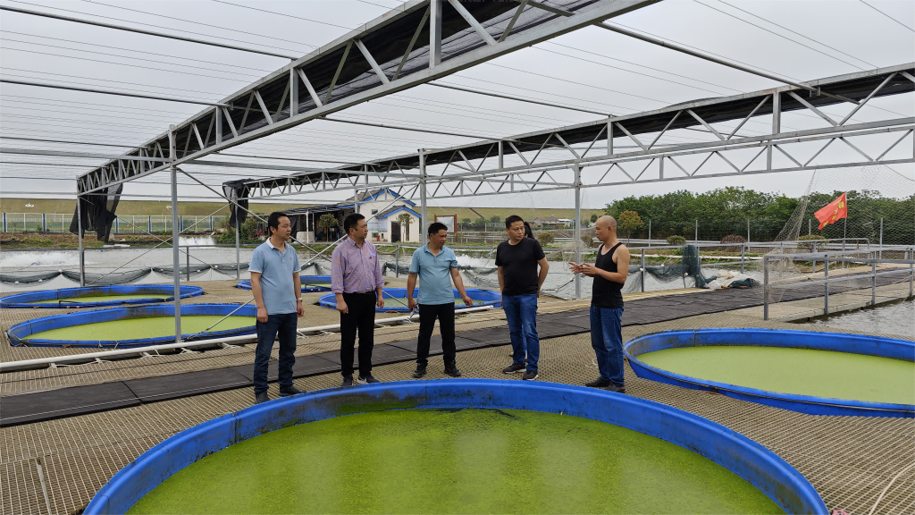 养殖企业多措并举增强经营实力