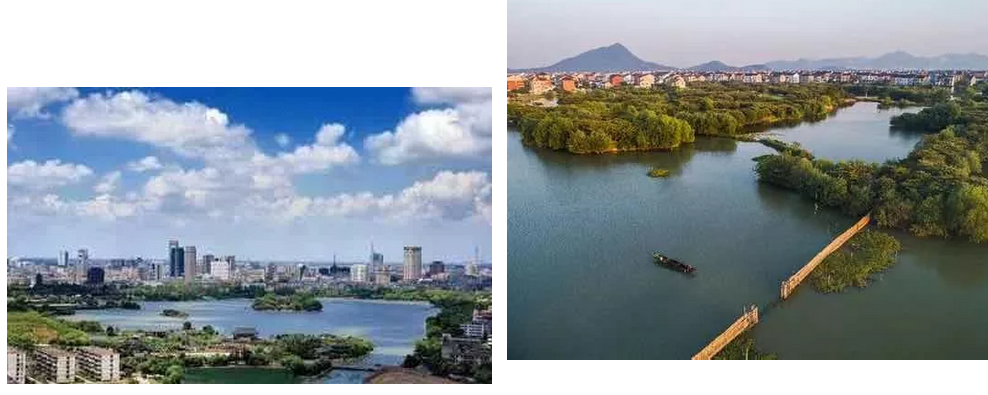 推出22项任务96条举措 上海徐汇持续营造一流营商环境