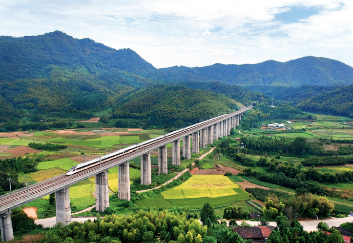 我国竹产业年产值超5200亿元