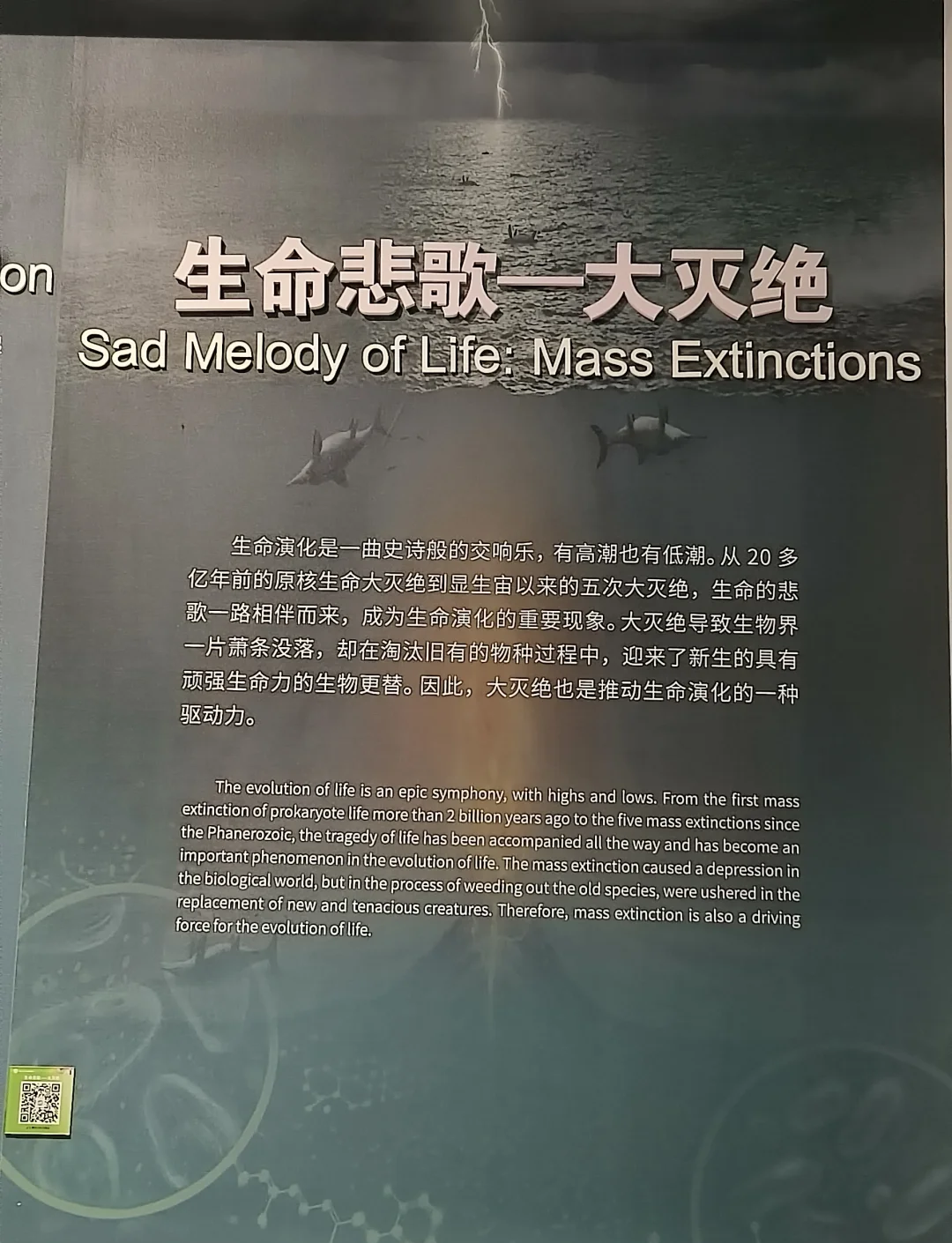 “花垣生物群”揭开显生宙第一次生物大灭绝面纱