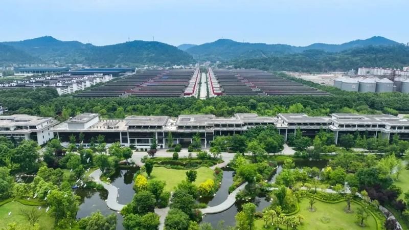 光莆股份：营收规模稳健增长 深化光集成传感器战略布局