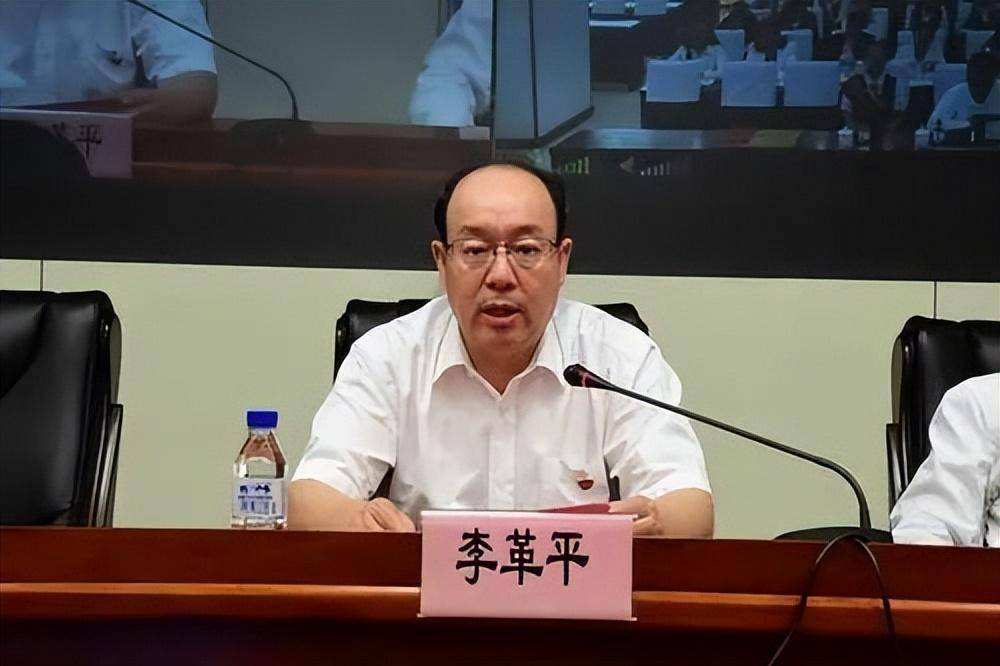 芦苇任中国邮政集团副总经理