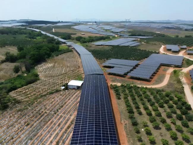 “反内卷”重塑光伏产业秩序 期货助力行业高质量发展