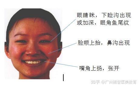 如何面对AI谄媚