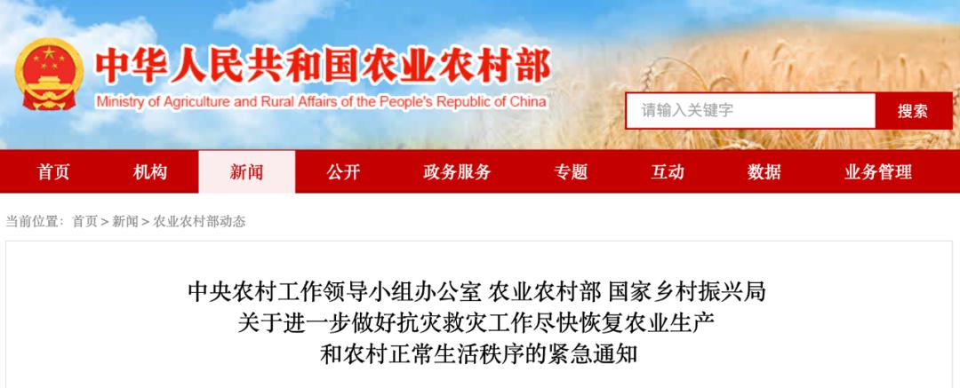 中央农办有关负责同志解读中央一号文件精神时表示 提升农业科技创新体系整体效能