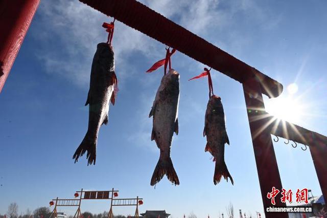 新春走基层｜哈素海的冬天