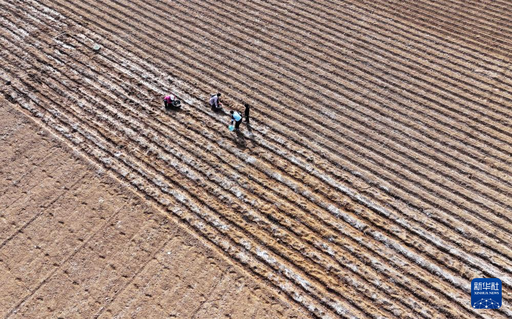 新春走基层·一线直击丨人勤春来早 “雨水”润春耕