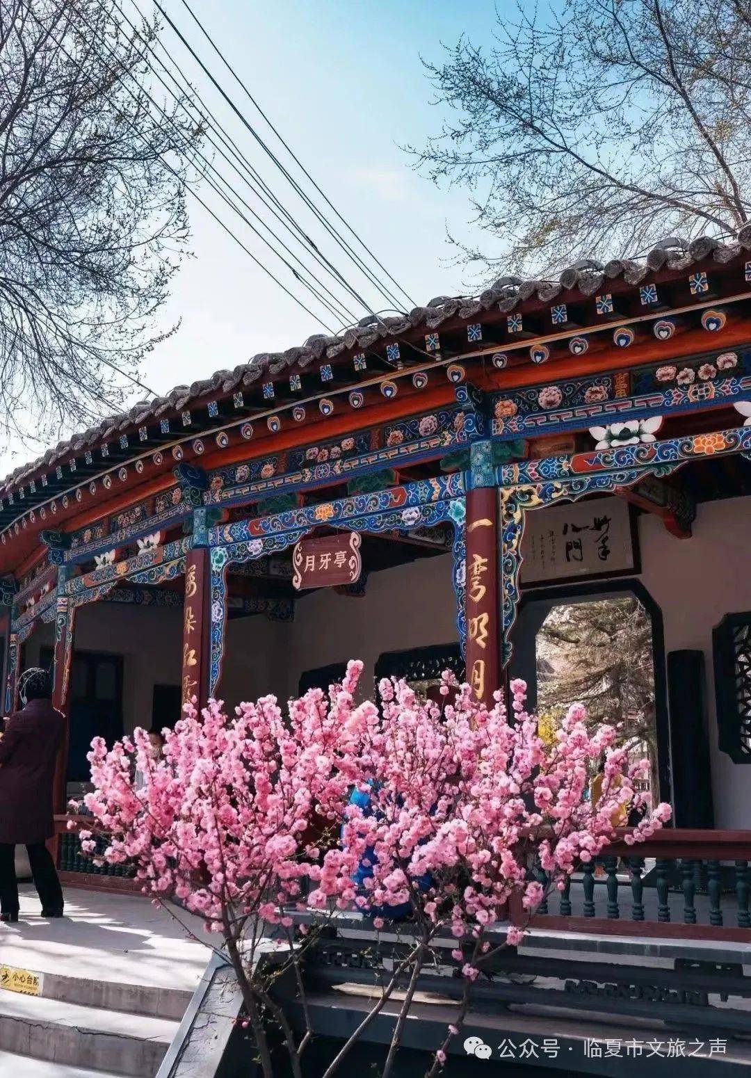 新春走基层丨甘肃临夏：黄土高坡绽放“花”样生活