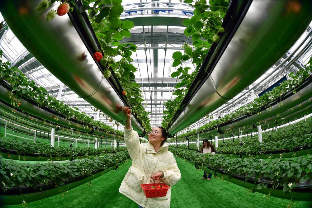 陕建股份开年新签合同稳健增长 新兴业务步入商业化运营阶段