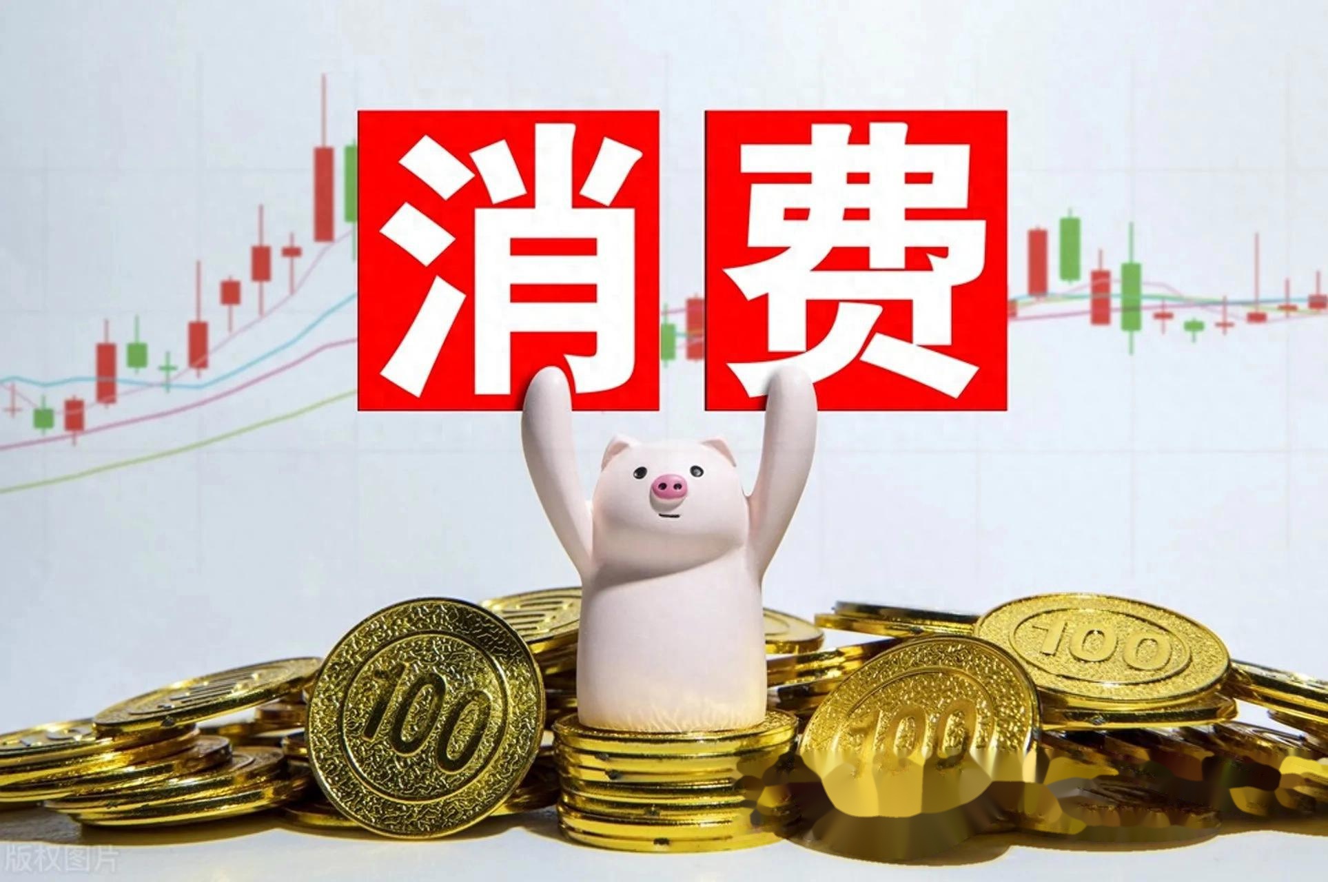 各地聚焦民生领域 启动新一轮消费券发放