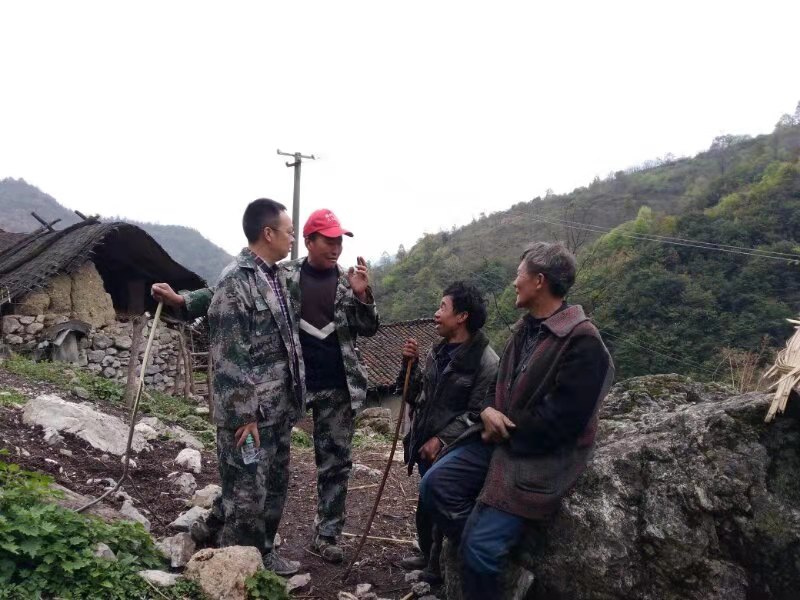 规范“关键少数”意在保护大多数