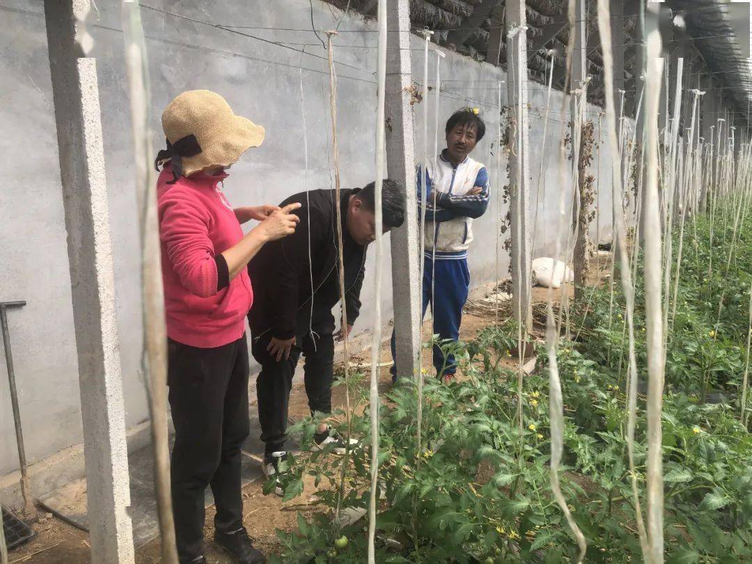 两会现场速递丨农业农村部部长韩俊：高水平保障粮食等重要农产品稳定安全供给