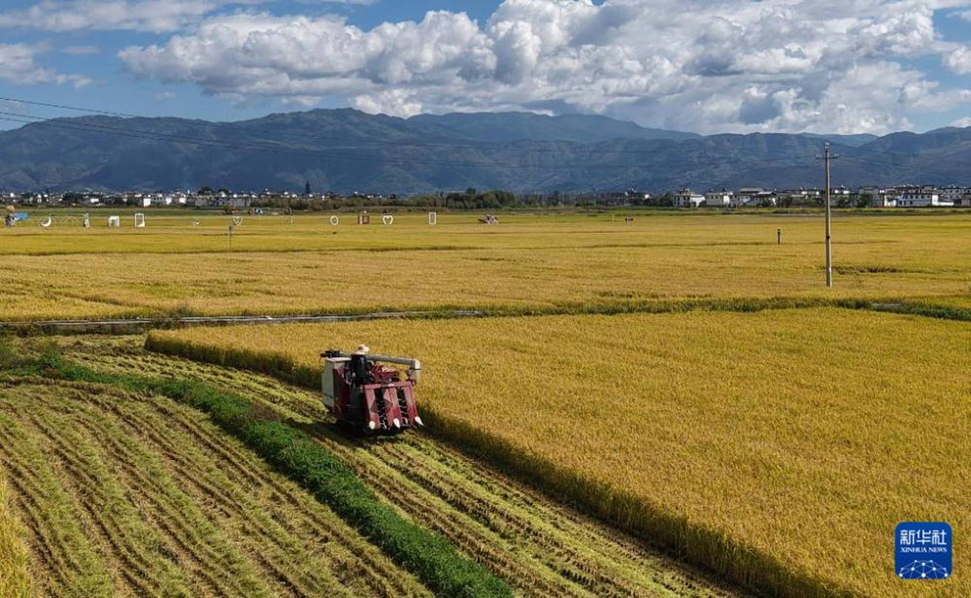 全国秋粮累计收购超3亿吨