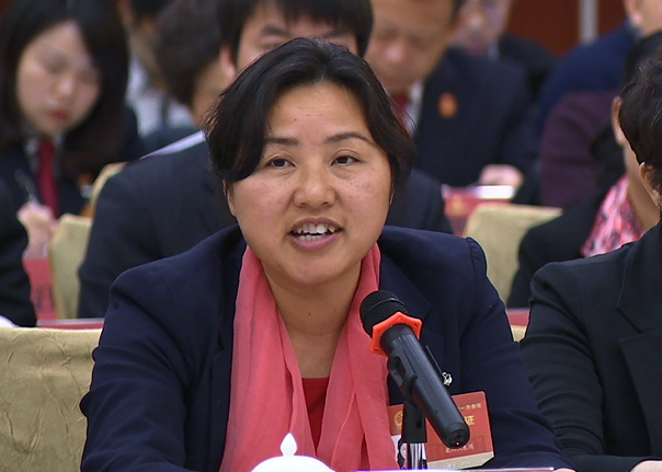 全国人大代表、吉利控股集团董事长李书福：加快设立“智能电动车辆”一级交叉学科