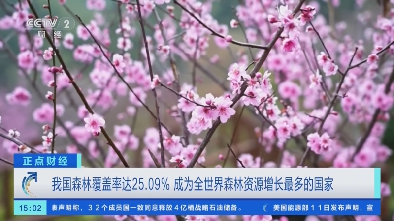 我国林草覆盖率超56%