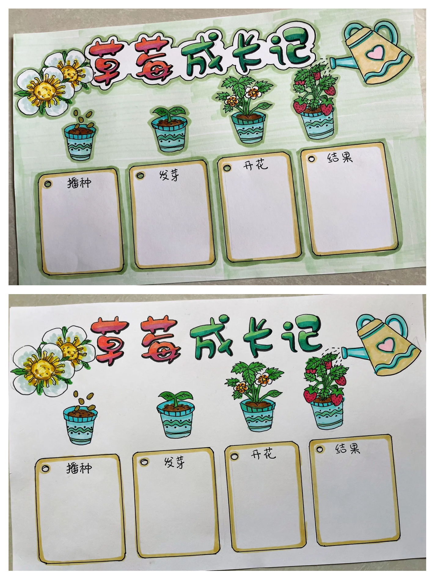 学习手记丨春天，种下一粒“种子”