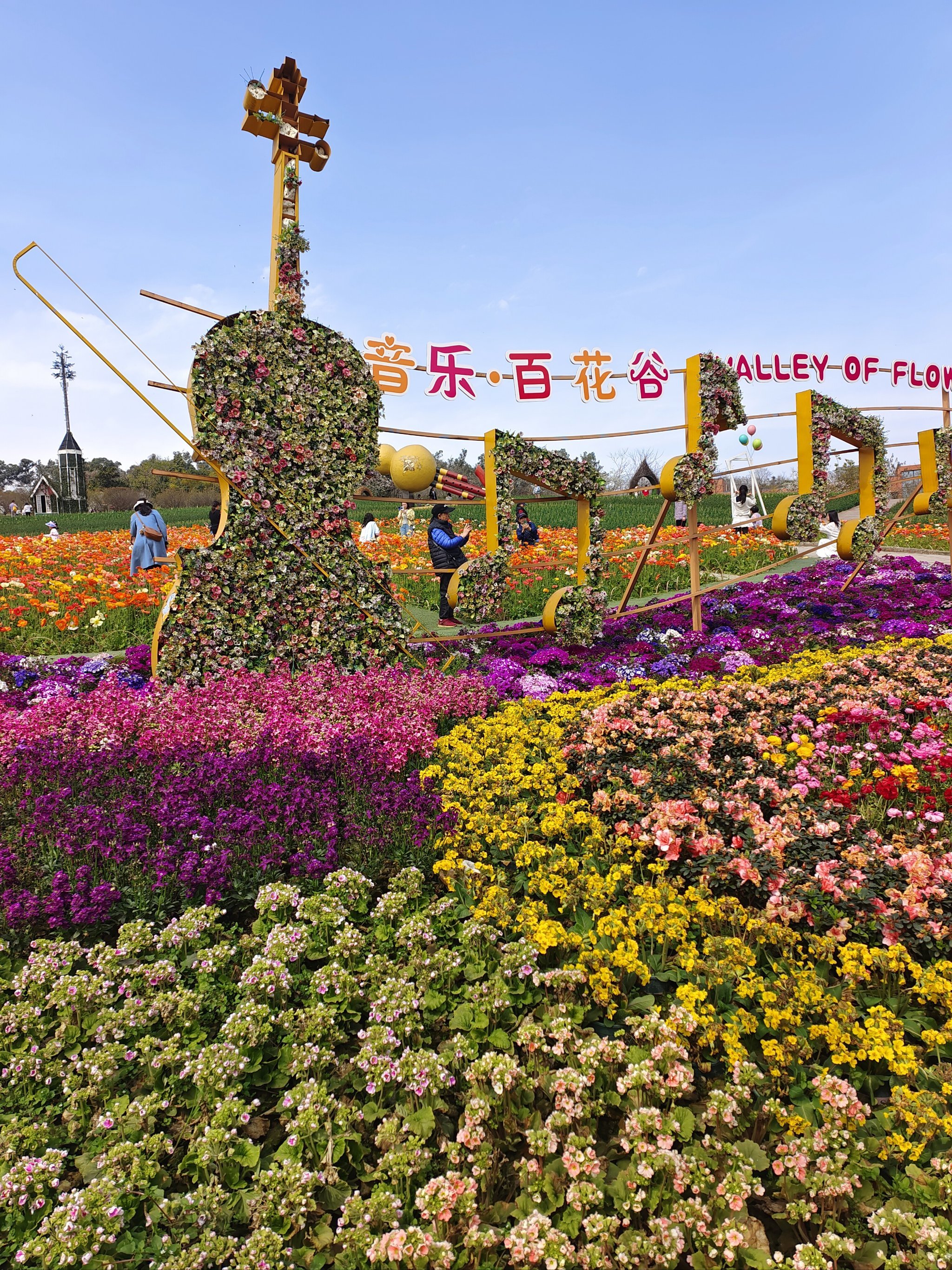 新华视点｜春日盛景赋能“花经济” 文旅融合焕发新活力