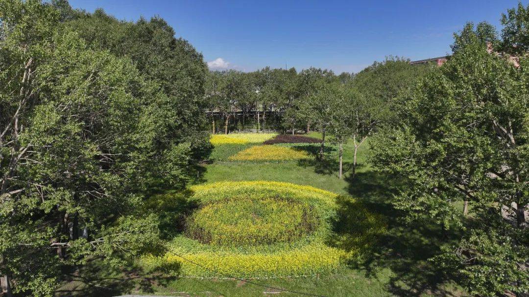 新华视点｜春日盛景赋能“花经济” 文旅融合焕发新活力