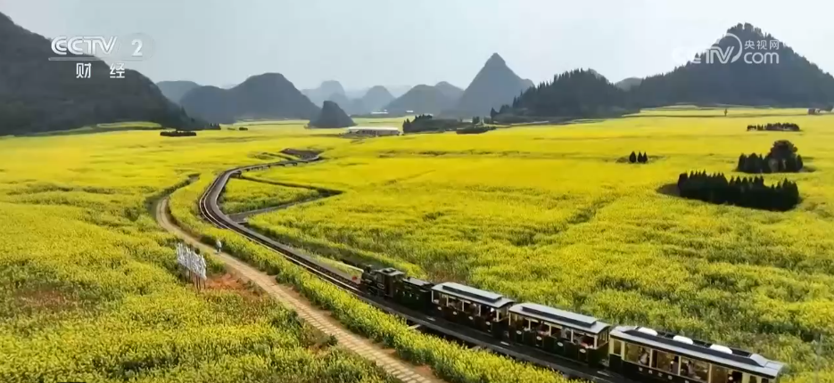 新华视点｜春日盛景赋能“花经济” 文旅融合焕发新活力